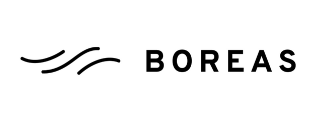 Logo BOREAS